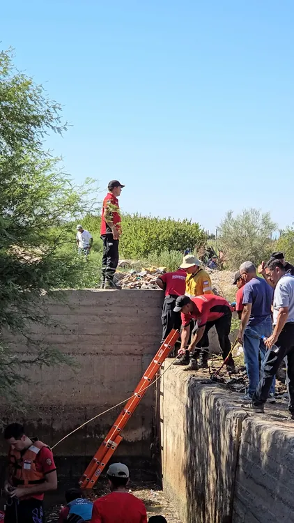 WhatsApp Image 2025-02-03 at 09.19.29