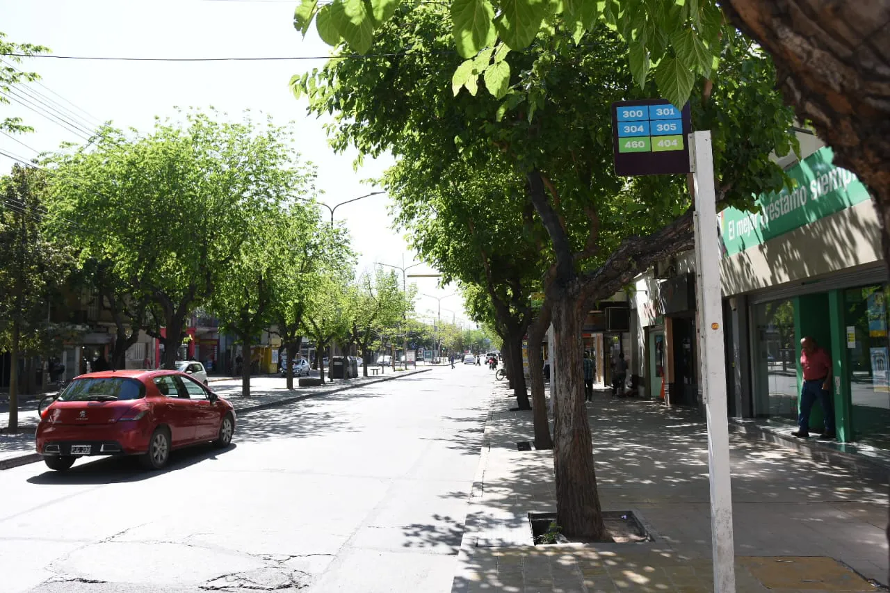 san juan libertador paro colectivos2