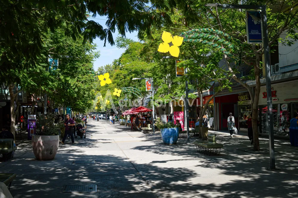 peatonal comercio navidad