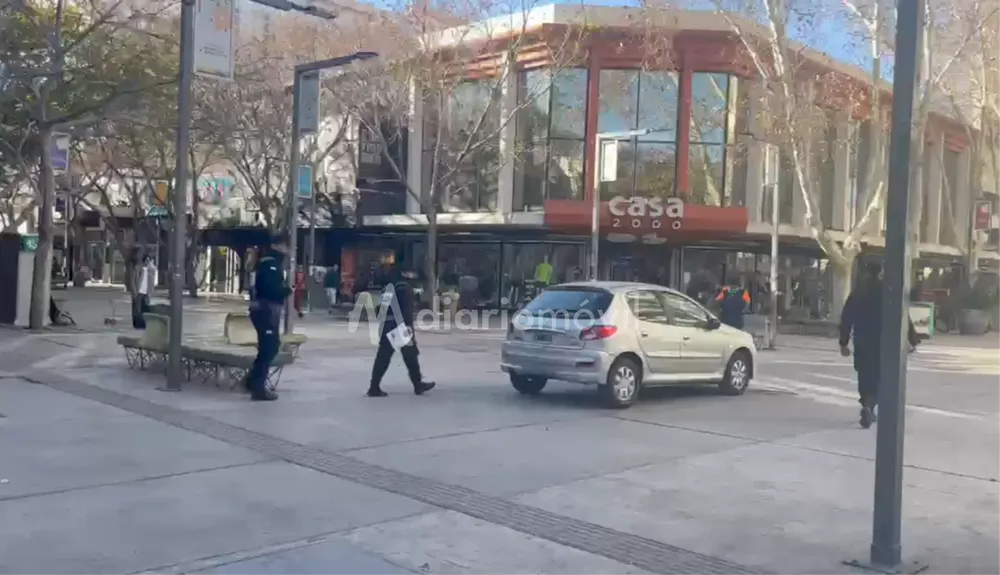 Auto Peatonal 