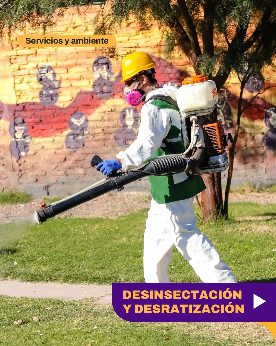 portada_ratis_9058d1c269