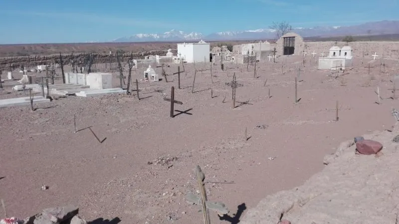 WhatsApp Image 2024-06-19 at 9.12.08 AM