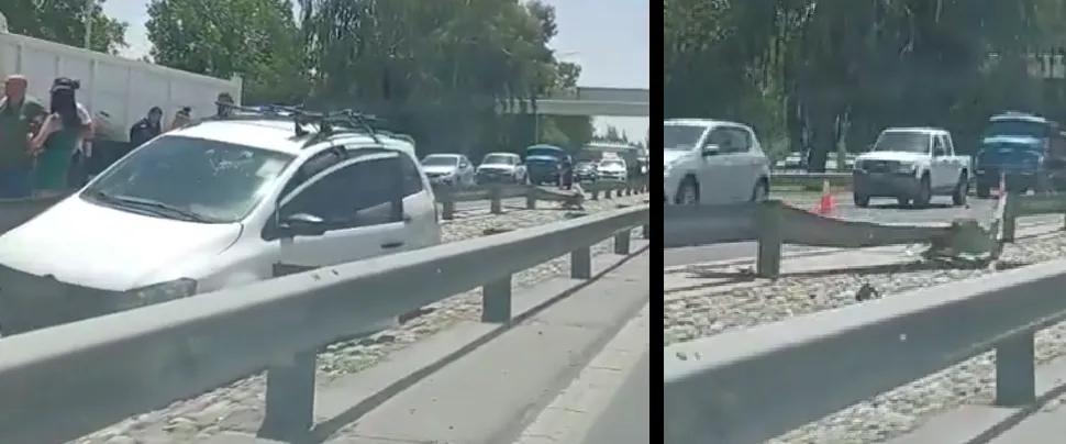 Surán circunvalación