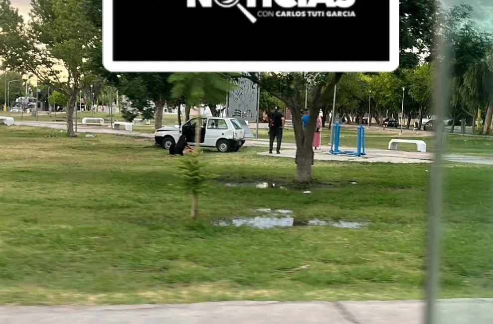 image - 2026-01-16T132301.264