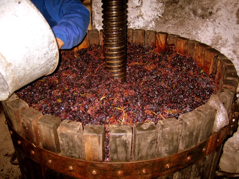 vino-octubre-2006 (4)-1