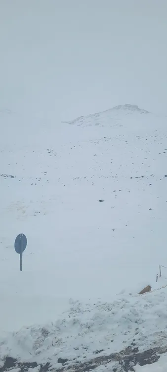 WhatsApp Image 2024-04-13 at 11.50.43 AM