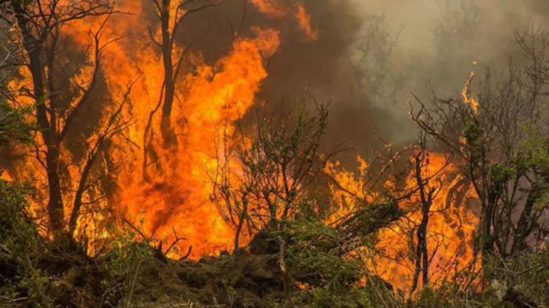incendio - chubut