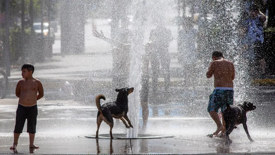 Calor ola de calor sol