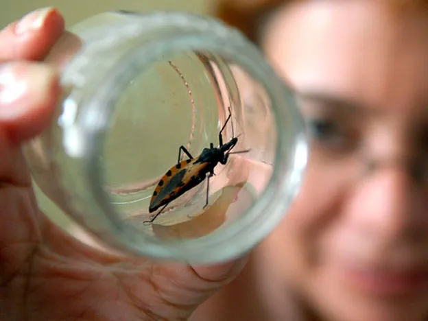 Chagas