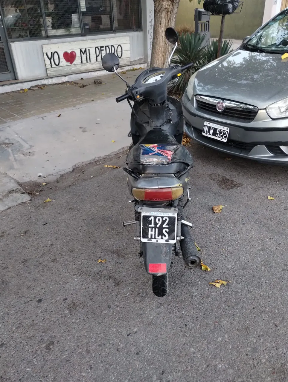 WhatsApp Image 2025-03-28 at 10.50.30