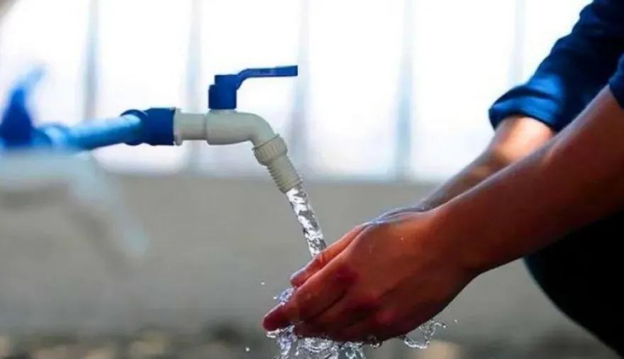 WhatsApp Image 2024-02-01 at 08.57.51