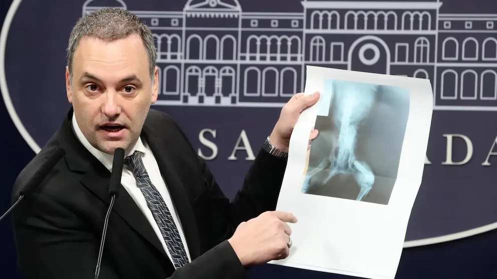 image - 2025-04-16T133724.616