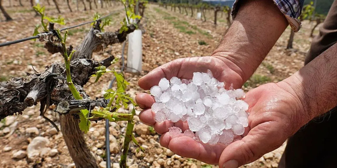 granizo-vinedos-1140x570