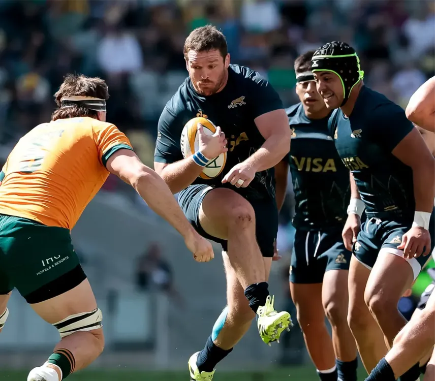 los pumas