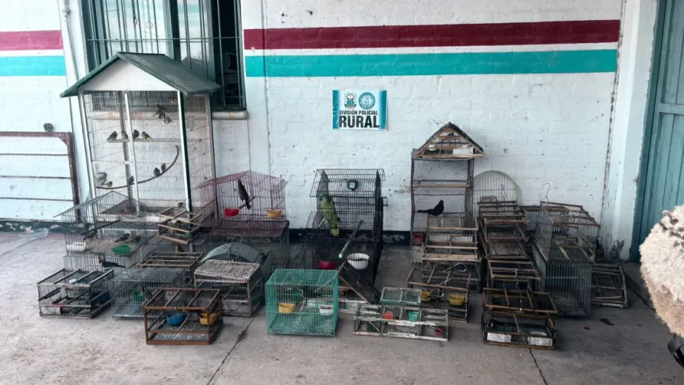 fauna rural