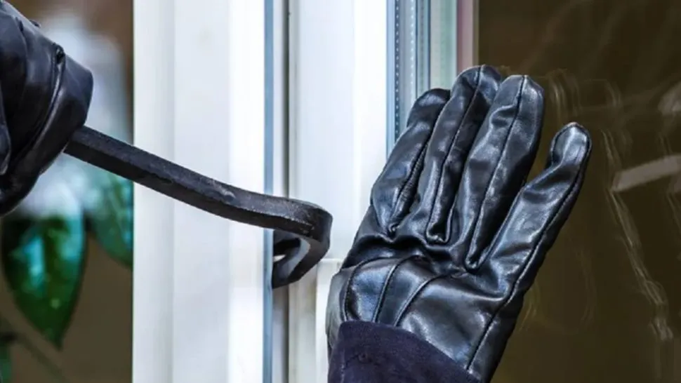 Ladrón robo delincuente