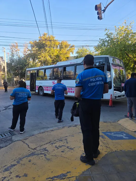 WhatsApp Image 2026-04-07 at 20.44.53