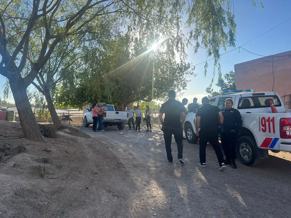 WhatsApp Image 2024-03-19 at 12.30.16 PM