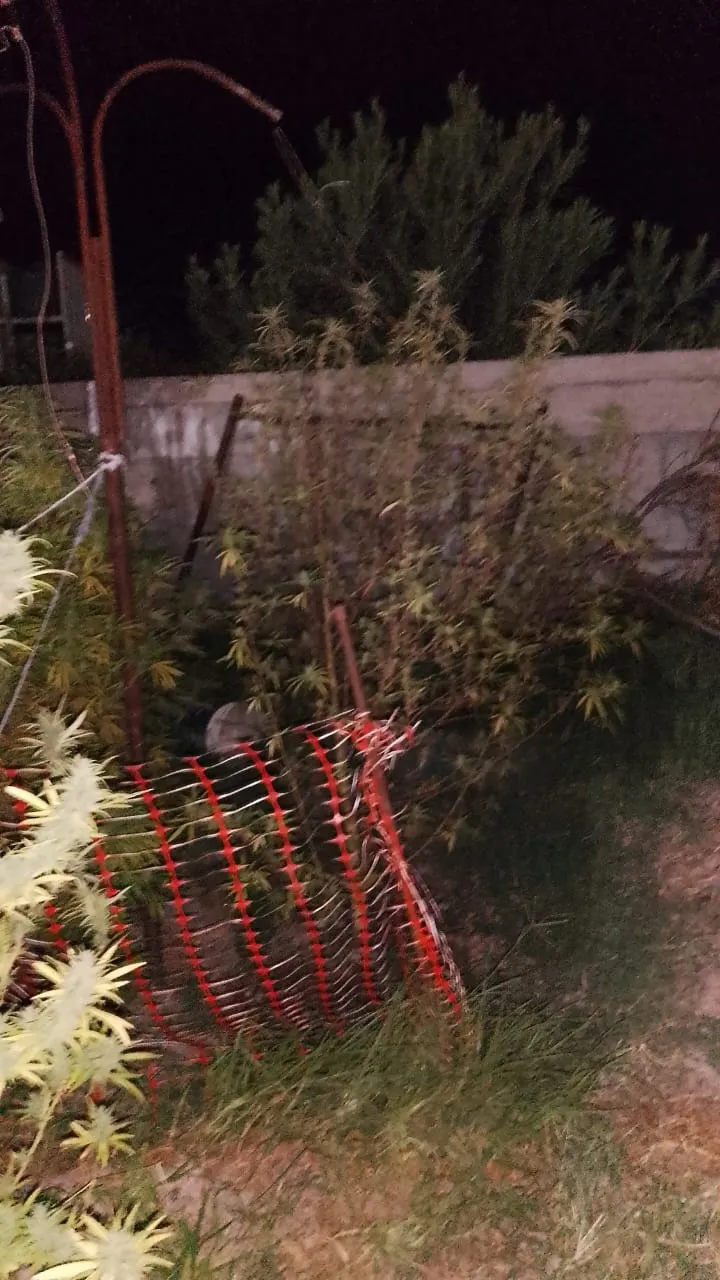 WhatsApp Image 2025-04-01 at 09.22.18