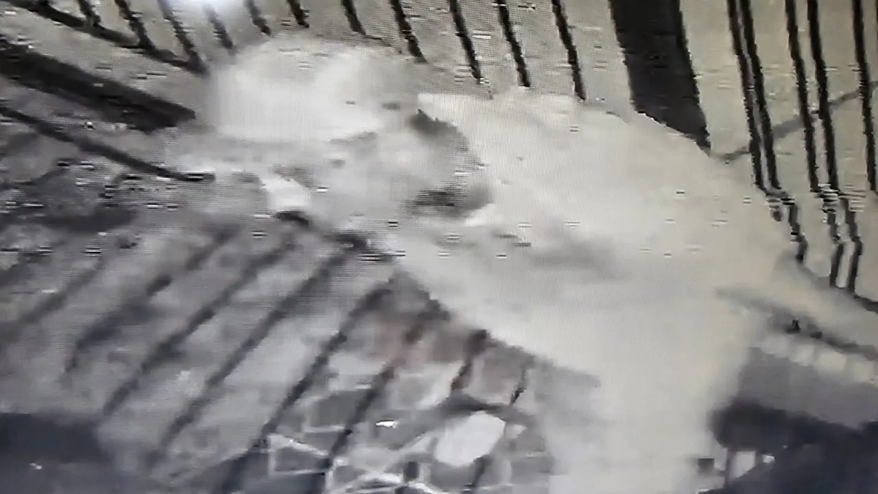 WhatsApp Image 2025-01-03 at 13.31.35