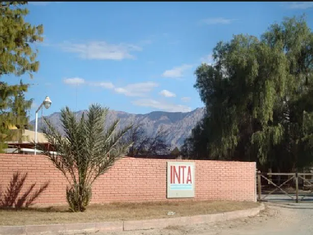 INTA