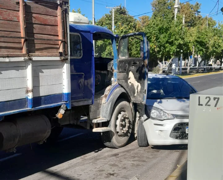 WhatsApp Image 2026-04-08 at 12.10.23