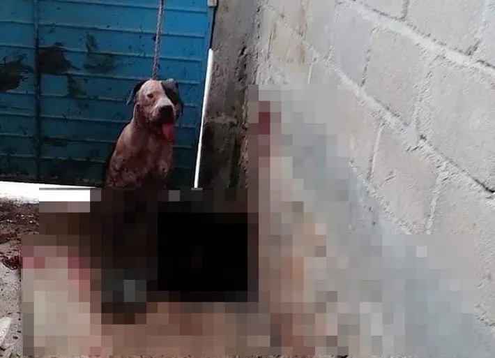 G--wOD8sl_720x0__1-2