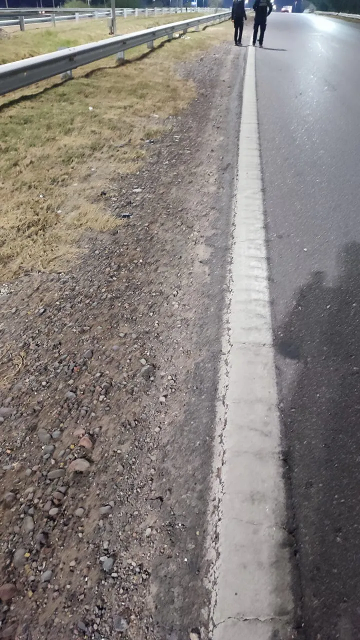 WhatsApp Image 2024-07-02 at 7.44.09 AM (1)