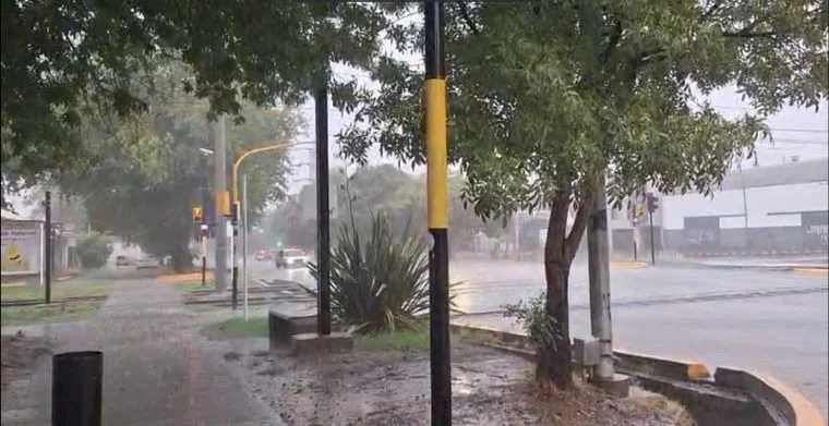 Lluvia Mendoza 234