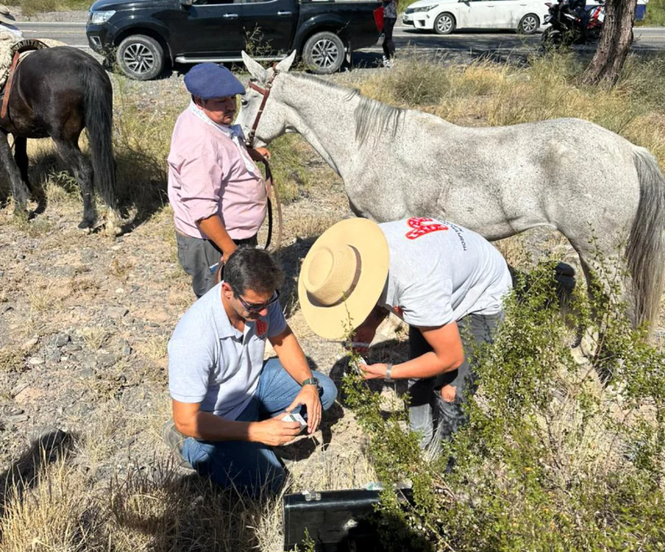 WhatsApp Image 2026-03-31 at 23.18.10