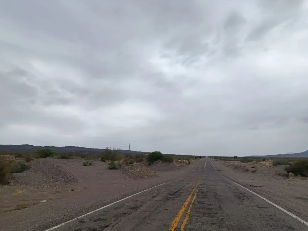 WhatsApp Image 2026-01-18 at 11.08.10