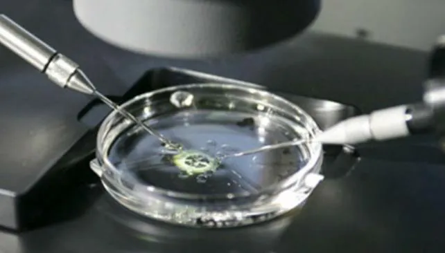 fertilizacion_asistida