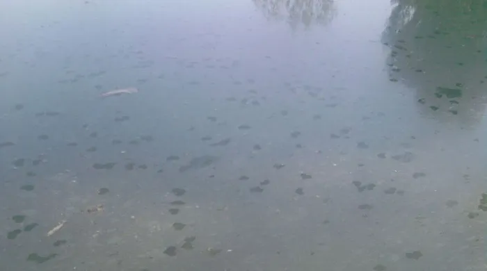 agua corazones