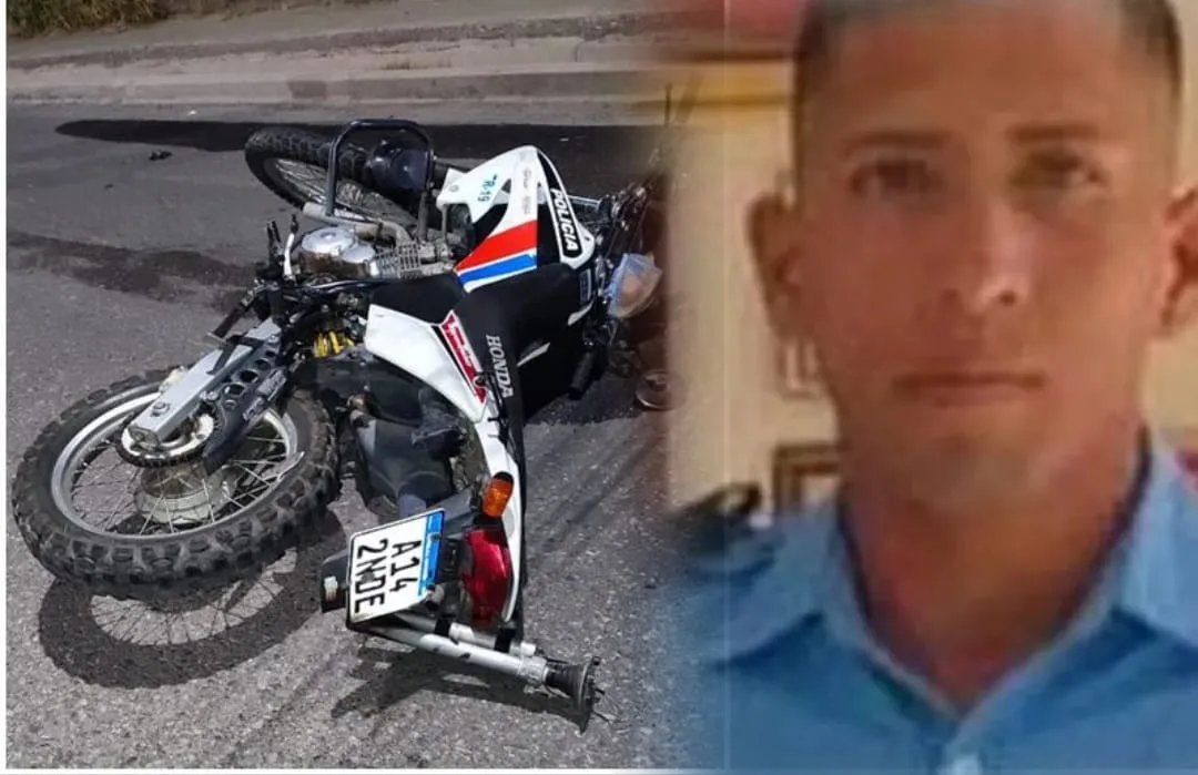 WhatsApp Image 2024-10-13 at 11.10.17