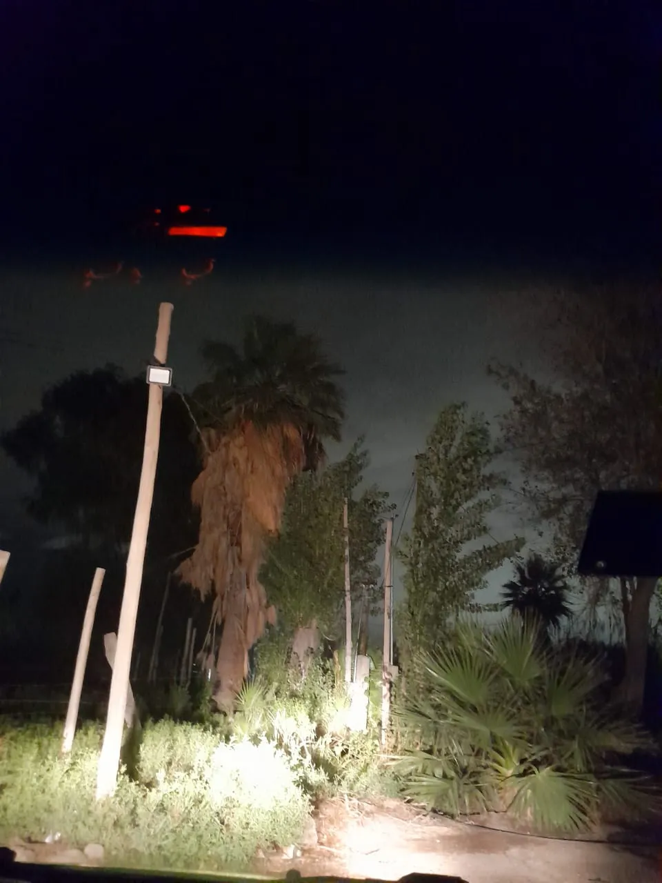 WhatsApp Image 2024-05-14 at 10.15.14 AM