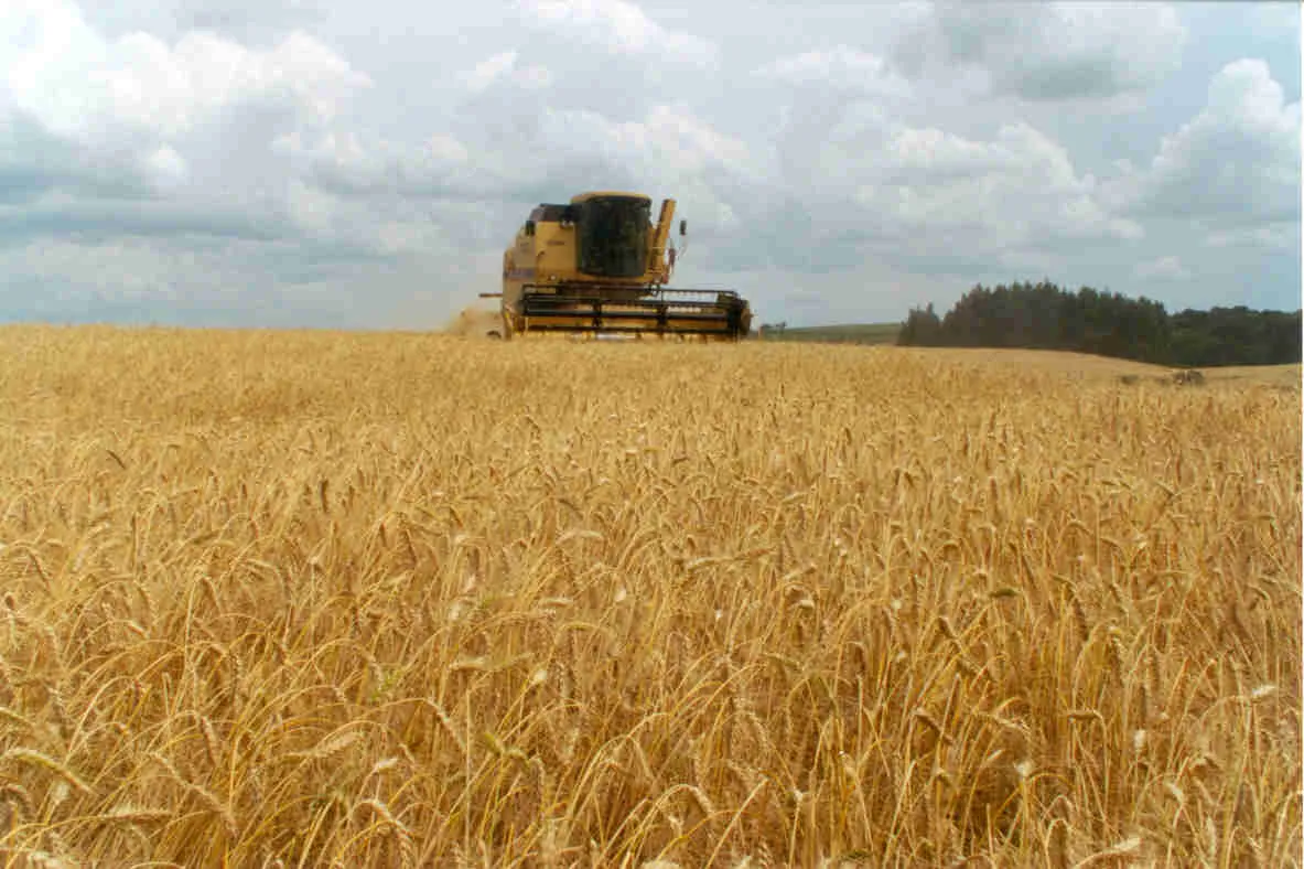 Retenciones al agro