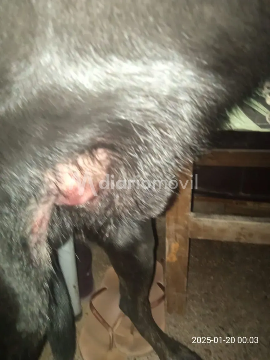 WhatsApp Image 2025-02-03 at 20.01.20 (2)