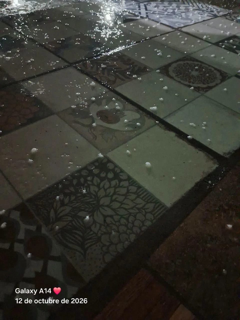 838987149_4424258817833319_8635690007838282705_n