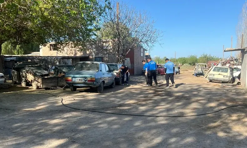 WhatsApp Image 2024-09-15 at 08.56.40