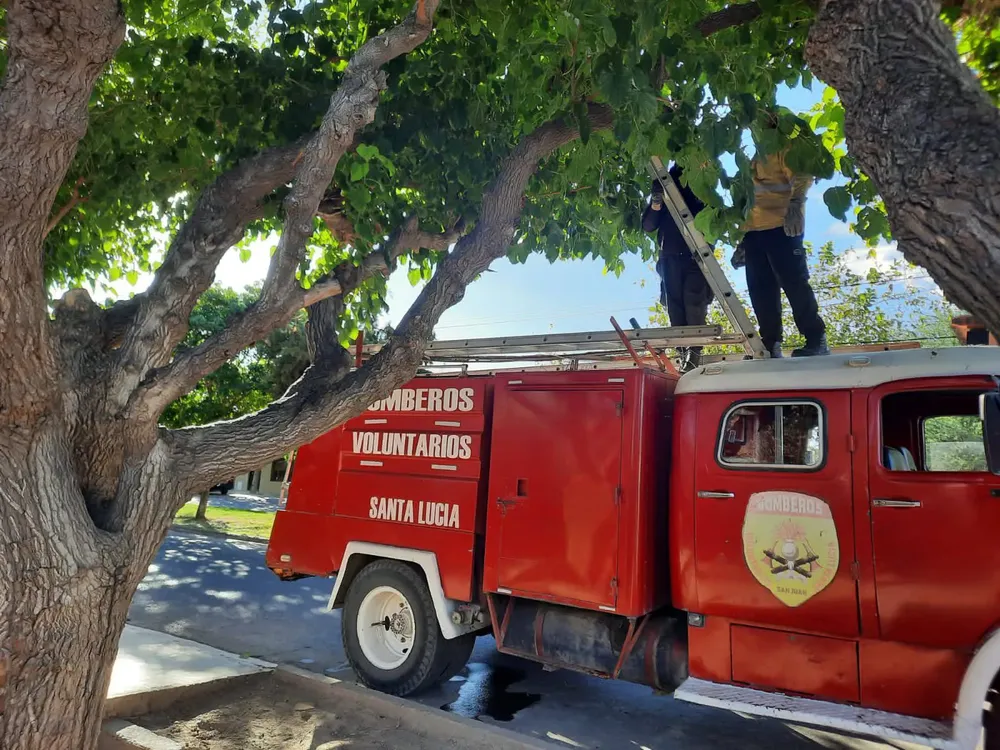 488592354_2413797812305899_7398372089151778715_n