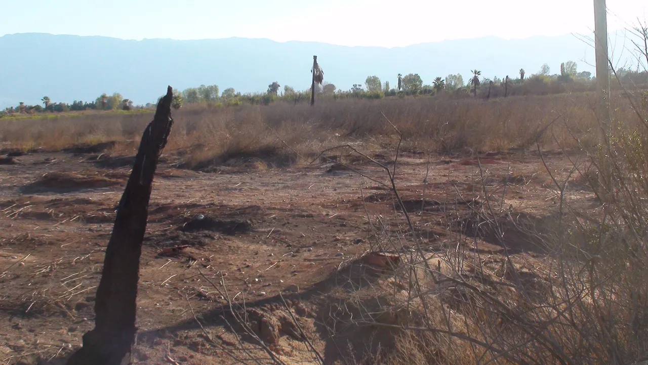 terrenos Colonia Rodas