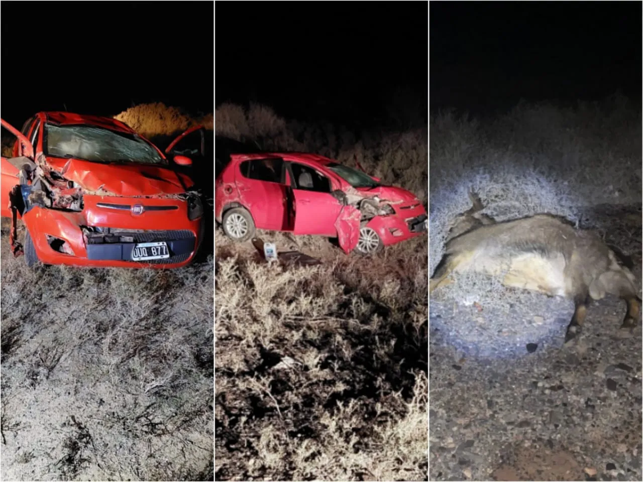 WhatsApp Image 2024-06-18 at 8.35.00 AM