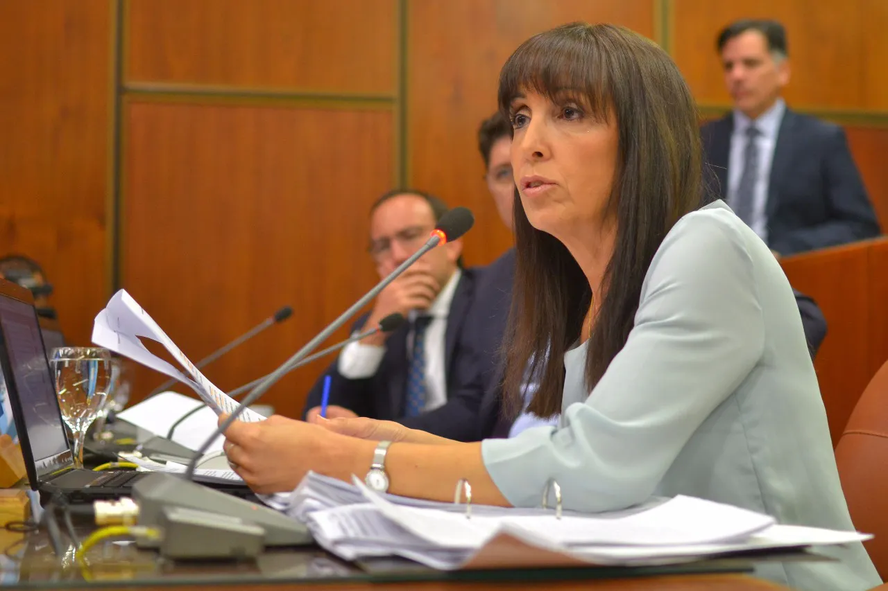 susana-laciar1