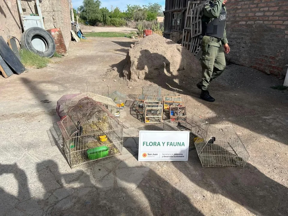 Flora y fauna