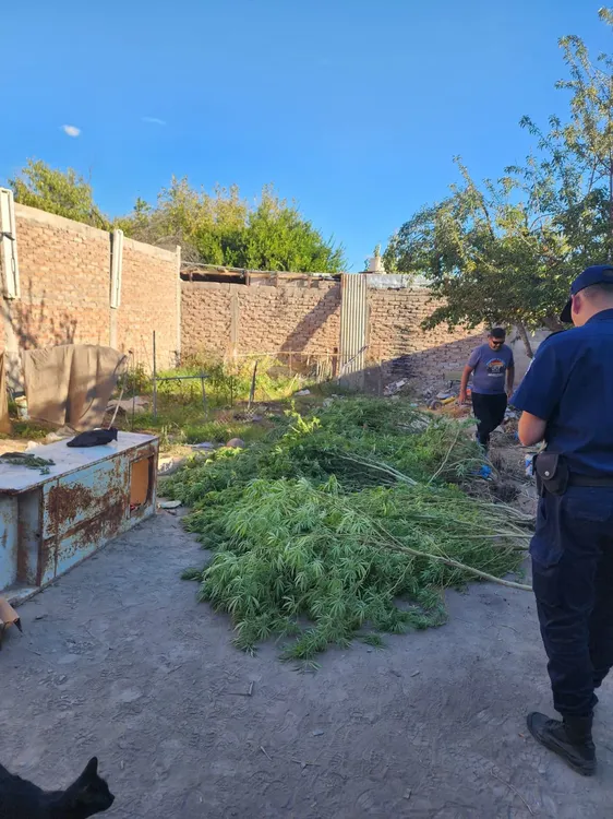 WhatsApp Image 2026-04-09 at 23.31.50