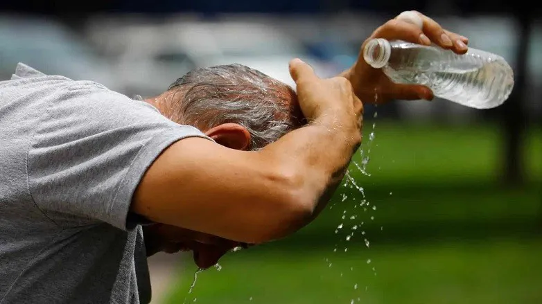 Calor