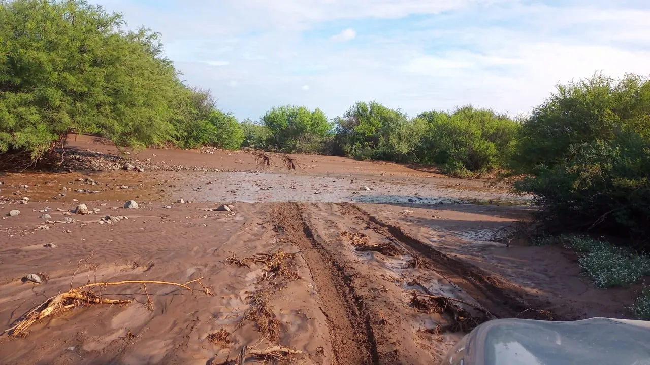 WhatsApp Image 2025-02-25 at 13.00.45