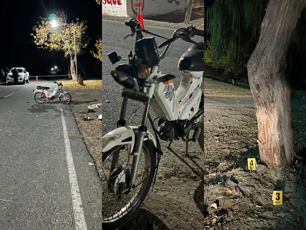 Moto - árbol - Angaco