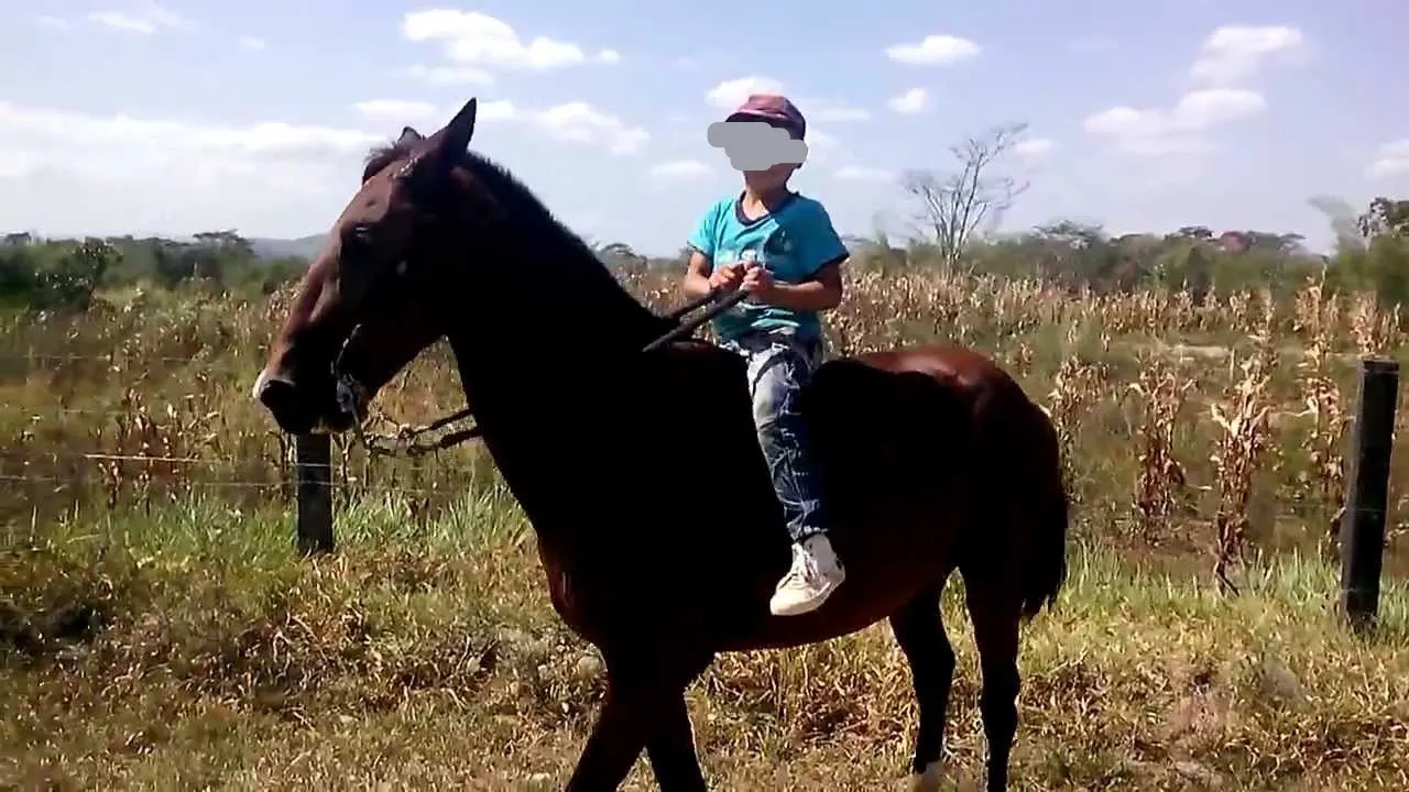 404aa58d-1a66-4aa1-ac68-669418540868