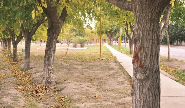 PlazaDeLosArtesanos